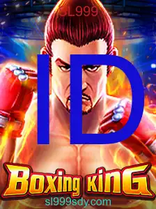 BoxingKing - SL999